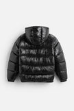 Donsjas Essential | Kurtka Puchowa z 100% Gęsiego Pióra Kleding & Accessoires > Herenkleding > Kleding > jas > Winterjas Warschau Fashion