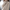 Lavinia | Oversizowy kaszmirowy sweter w jakości premium Sweater Warschau Fashion Kamel S