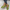 Stylowe Buty Damskie | Codzienne Obuwie dla Nowoczesnej Kobiety | Kasia