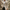 Cayseon | Męski Dwurzędowy Trench Coat Men Coat Warschau Fashion Beżowy M