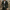 Cayseon | Męski Dwurzędowy Trench Coat Men Coat Warschau Fashion Zielony M