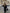 Stylowy Długi Płaszcz Wełniany | Saphira Trench Coat Women Warschau Fashion
