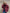 Damska Pikowana Kurtka Zimowa Women Jacket Warschau Fashion Czerwony S