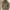 FLORIS | Męska Kurtka w Stylu Retro z Guzikowym Zapięciem Jacket Warschau Fashion Khaki S
