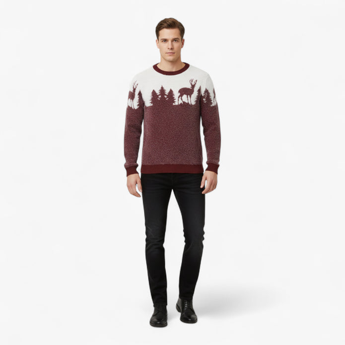 Filip | Męski sweter świąteczny Swetry Warschau Fashion